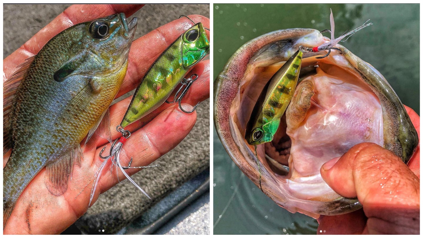 Topwater baits that resemble local bream species are deadly for catching bass.