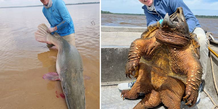 Angler Breaks Line-Class World Record for Alligator Gar Then Boats 200-Pound Alligator Snapping Turtle