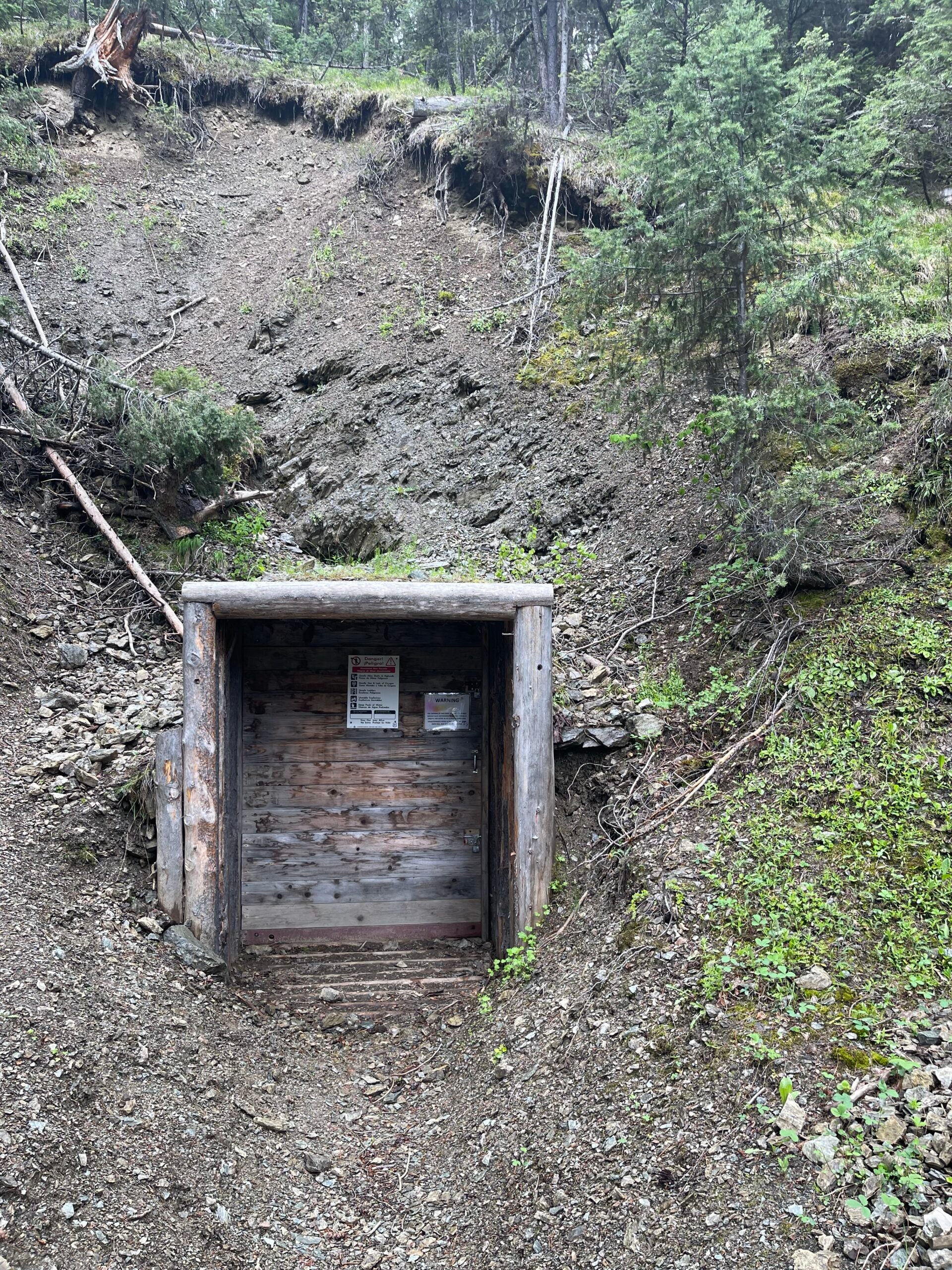 A decommissioned mine adit in the Sheep Creek area of the Bitterroot National Forest.