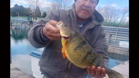 Indiana Angler’s Jumbo Perch Breaks 43-Year-Old State Record