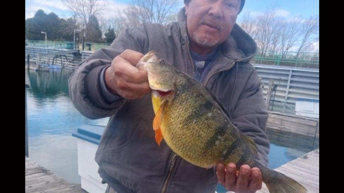 Indiana Angler’s Jumbo Perch Breaks 43-Year-Old State Record