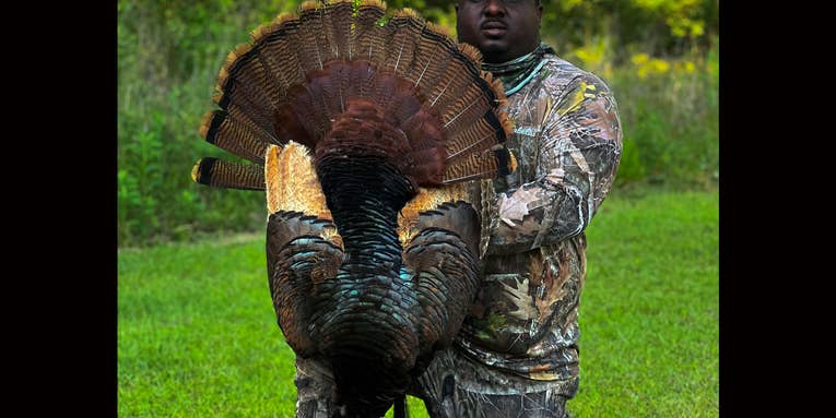 Turkey Hunter’s Two-Year Chase Ends with a Cinnamon-Phase “Once-In-a-Lifetime Bird”