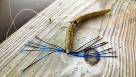 How to Fish a Neko Rig for Bass