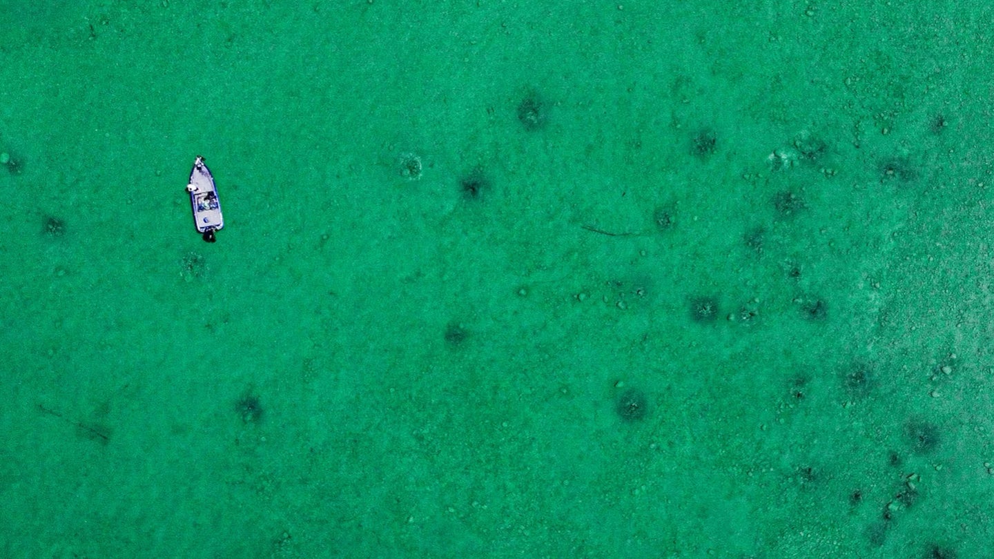 An overhead view of a bass boat surrounded by green water and bass spawning beds.