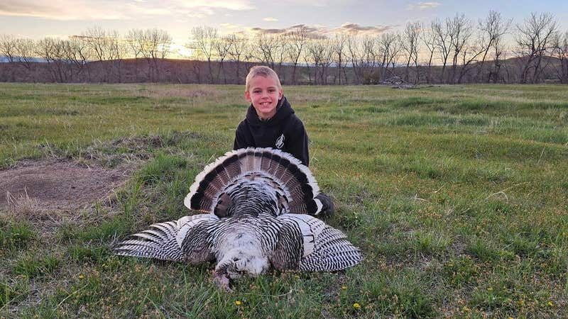 8-Year-Old’s First Turkey Is a Smoke-Phase Bearded Hen