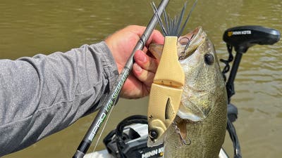 Big Baits for Big Bass: How to Fish Glide Baits, Wakebaits, and Harnessed Swimbaits