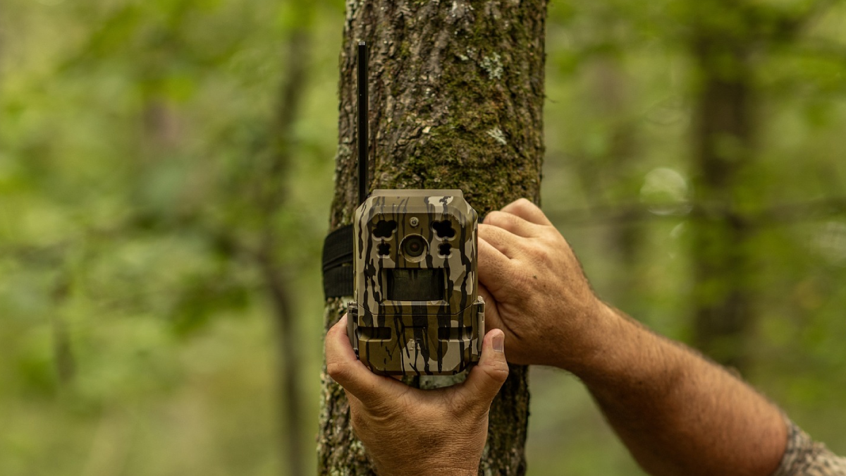 Man setting up Moultrie Mobile Edge Pro Cellular Trail Camera on tree in the woods