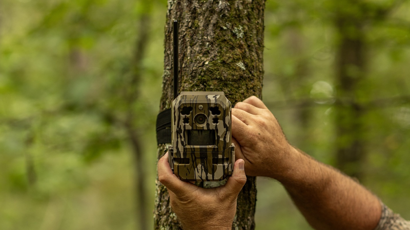 The Best Moultrie Trail Cameras of 2024