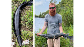 Texas Angler Catches Extremely Rare All-Black Gar